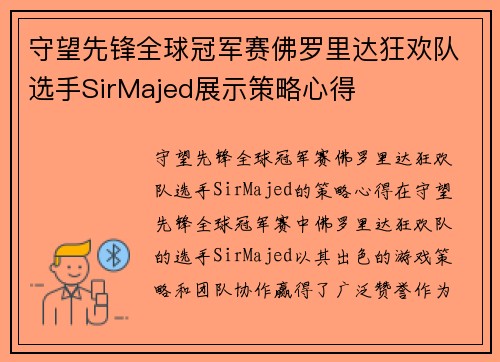 守望先锋全球冠军赛佛罗里达狂欢队选手SirMajed展示策略心得