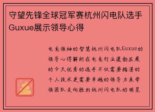 守望先锋全球冠军赛杭州闪电队选手Guxue展示领导心得